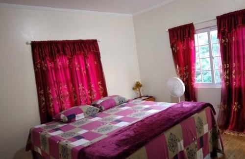 Penlyne Castle House | Jay's Guest House II