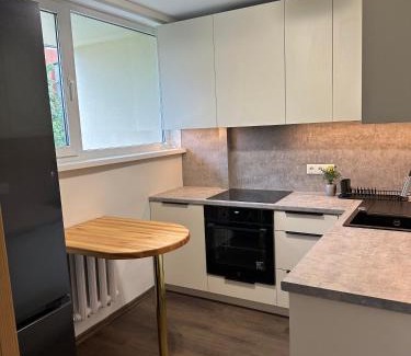 Jelgava Apartment | Jelgava Center Apartment with a View and Balcony