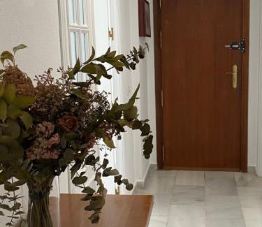 Jerez de la Frontera Apartment | Jerez Avenida