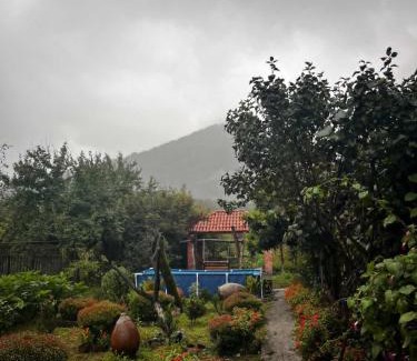 Lagodekhi House | Jibghashvilebi's house