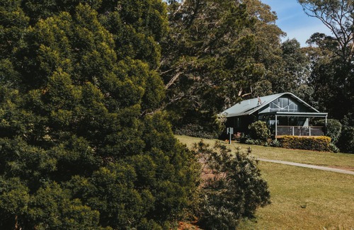 Kangaroo Valley Cabin | Jimmy’s Cabin in Kangaroo Valey. Kangaroos, Kookaburras, sleeps 4!
