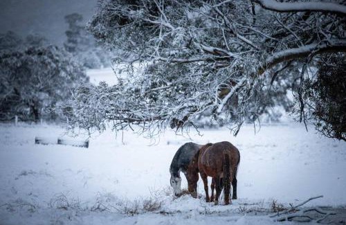 Jindabyne House | Jindabyne - Kia Ora Cabin Farmstay