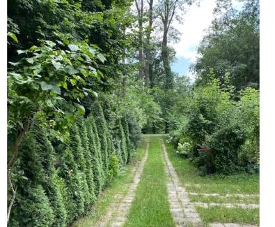 Zwierzyniec House | Jolanta Skrzynska noclegi
