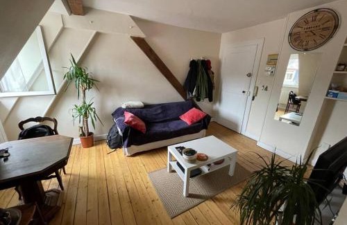 Krutenau Apartment | Joli 2 pièces - Krutenau Austerlitz