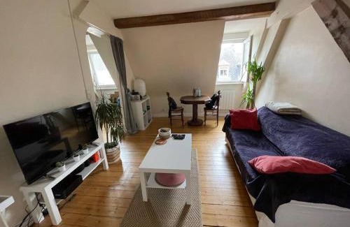 Krutenau Apartment | Joli 2 pièces - Krutenau Austerlitz