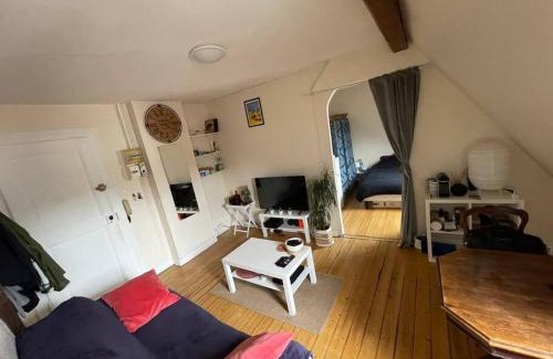 Krutenau Apartment | Joli 2 pièces - Krutenau Austerlitz