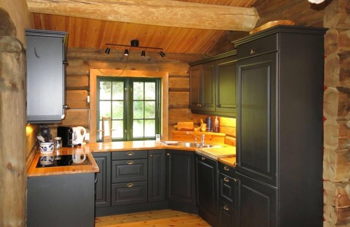 Nissedal House | Josteinbu by Interhome