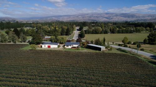 Alexandra House | Judge Rock Exclusive Vineyard Cottage Accommodation