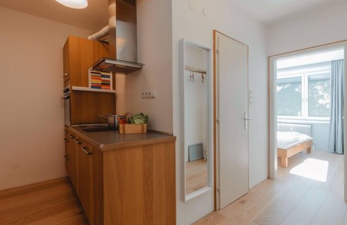 Bad Gastein Apartment | Judith Top 13 by Interhome