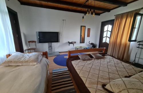Polovragi House | Jugul Țăranului Agropensiune Polovragi, Gorj