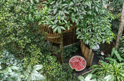 East Selemadeg Villa | June Special Offer! Beautiful1BR Bamboo Villa in Tabanan
