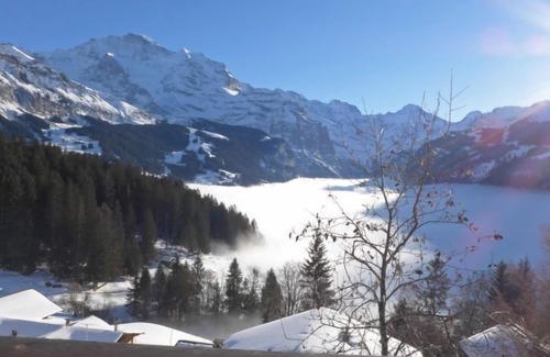 Wengen Apartment | Jungfrau a d Ledi by Interhome