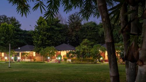 Sawai Madhopur Other | Jungle Cave Resort
