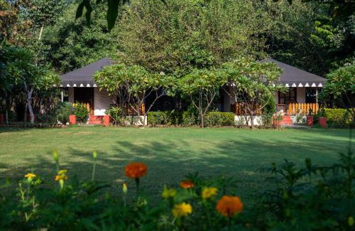 Sawai Madhopur Other | Jungle Cave Resort