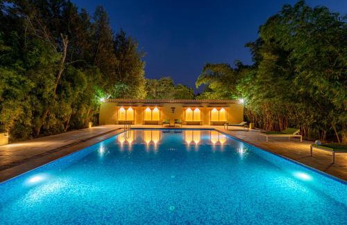 Sawai Madhopur Other | Jungle Cave Resort