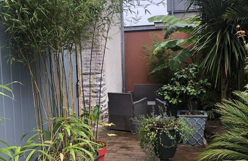 Bruz House | Jungle house