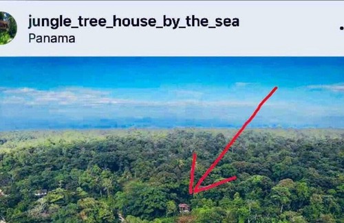 Bocas del Toro House | Jungle Treehouse by the Sea