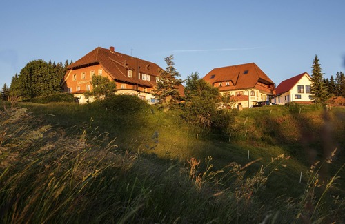 Waldau Apartment | Junior suite Trend, 40sqm, max. 2 persons