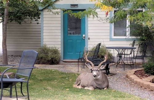 Cody House | Just blocks from downtown! Cozy 2-bed, 1-bath home - sleeps 4.