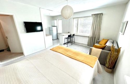 Jyvaskyla Apartment | Jyväskylä yksiö