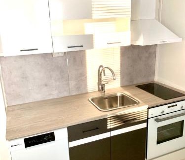 Jyvaskyla Apartment | Jyväskylä yksiö