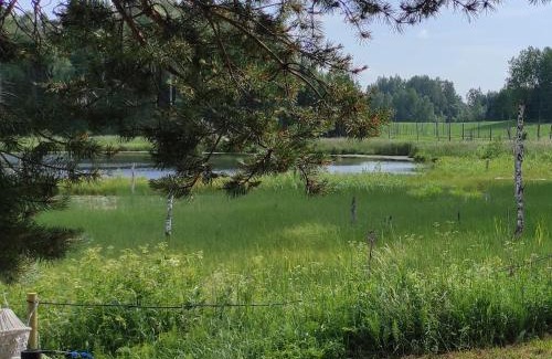 Ramuli Other | Kārkliņi Tiny House & private campsite