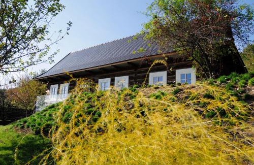 Zabierzow Villa | Kacza Chata - willa z jacuzzi