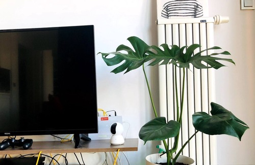 Kadikoy Apartment | Kadıköy'de Dekorasyonlu, Temiz ve Güvenilir Daire