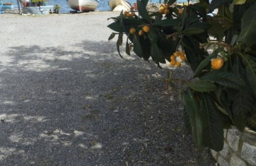 Karvelas Apartment | Kamares Beach Room 8
