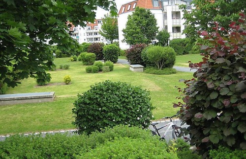 Laubegast Apartment | Kamelienweg by Interhome