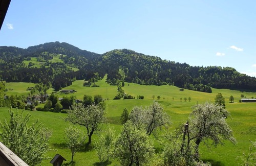 Itter Apartment | Kaminstüberl Hintenberg - Hintenberg Farm