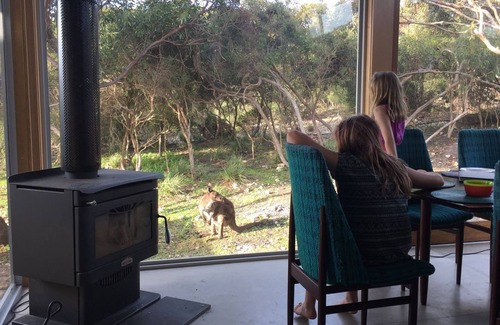 Newland House | Kangaroo Island Supashak - Modern take on iconic Australian Shack