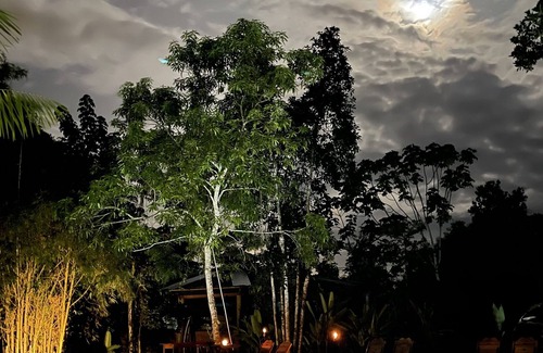 Puerto Maldonado Hotel | Kapievi Ecovillage