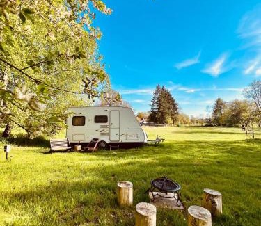 Pacejov Cabin | Karavan v březovém háječku