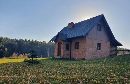 Czarna Dabrowka House | Kartkówka