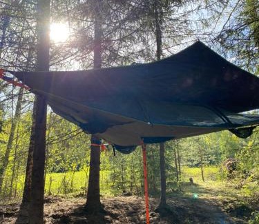 Antsla Parish Other | Karula Stay lakeside Camper, Treetent & SUPs included - all area only for you!