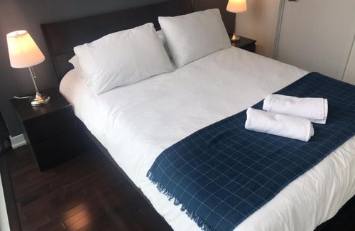Toronto Entertainment District Apartment | Kashaneh at Ice (1+1 bedroom)