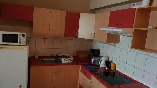 Cserkeszolo Apartment | Kastély apartman
