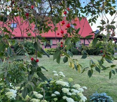 Koscierzyna Villa | Kaszubska Oaza Garczyn