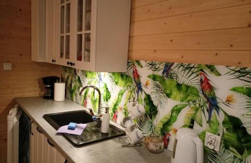 Lipusz Cabin | Kaszuby wczasy u Danusi sauna i bania