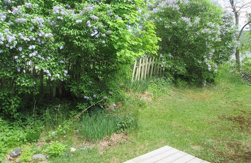 Millinocket House | Katahdin Woods & Waters House - close to trails!