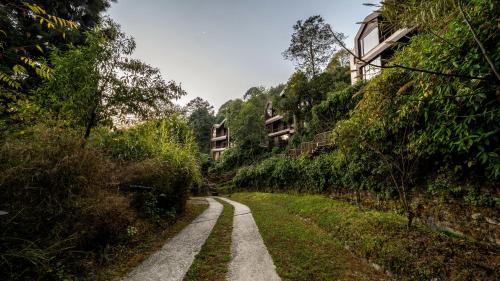 Bageshwori Resort | Kavya Himalayas