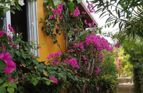 Choiseul Villa | Kaye Mango Villa