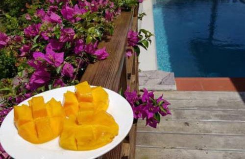 Choiseul Villa | Kaye Mango Villa