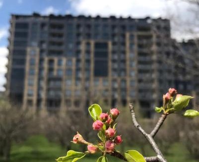 Tsaghkadzor Apartment | Kechi Apart 266
