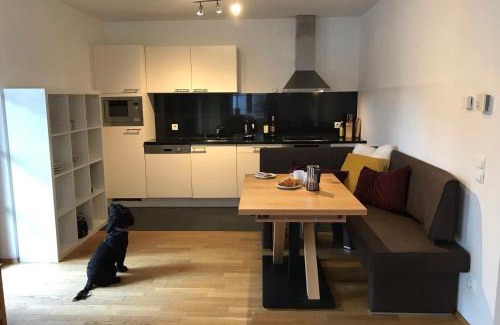 Rauris Apartment | Kerstin 3 by SMR Rauris Apartments - inc Spa and near Gondola