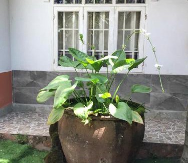 Bien Hoa Hotel | Khách sạn Xuân Trúc