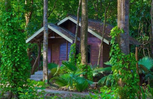 Khlong Sok Cabin | Khao Sok Riverside Cottages