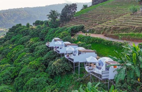Pong Yaeng Other | Khaokod Homestay