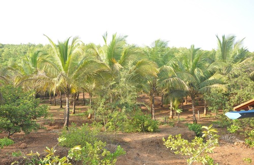 Malvan Other | KHUSHI CHA GAON in Konkan which is God gifted land